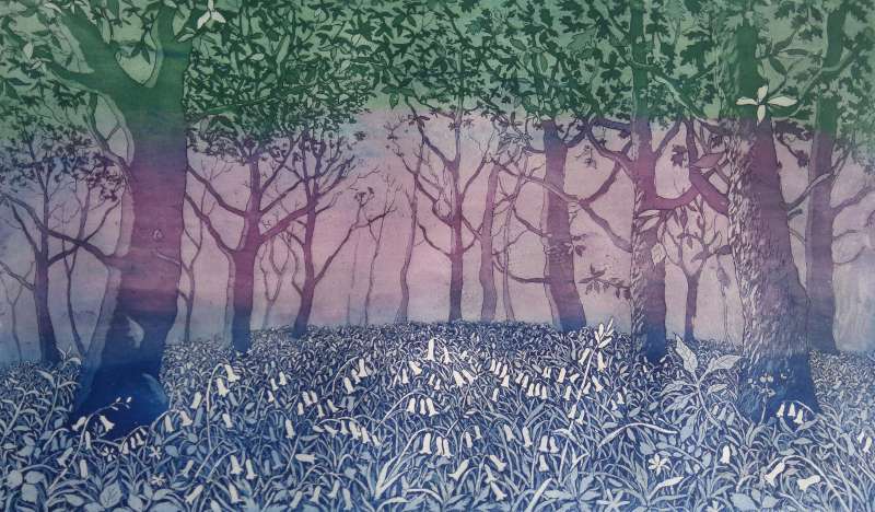Bluebell Wood